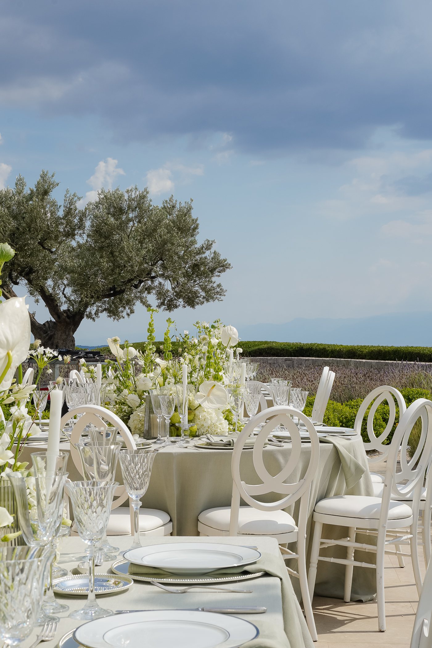 Mesa de casamento ao ar livre sob uma oliveira